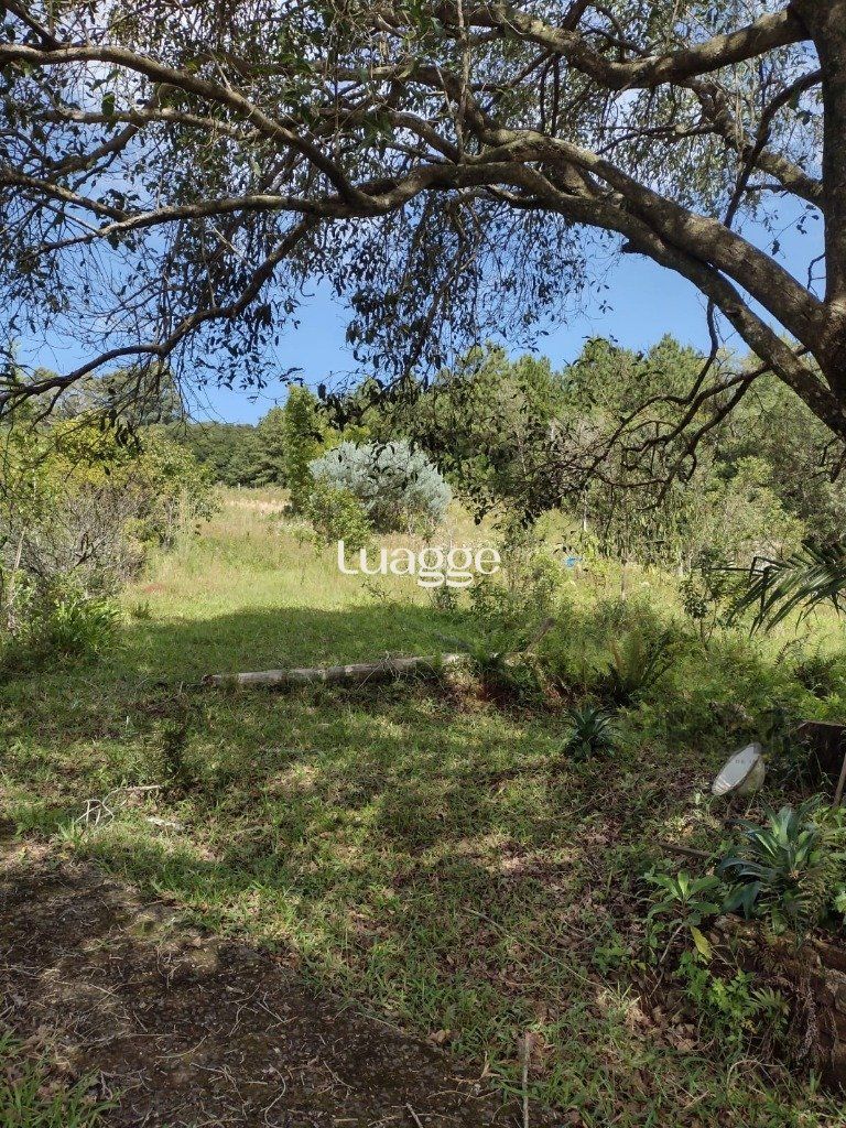 Sítio à venda com 1 quarto, 212m² - Foto 3