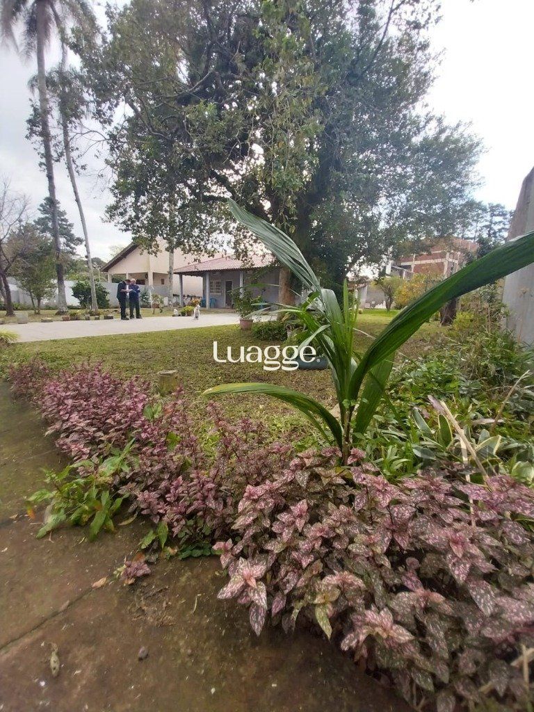 Casa à venda com 2 quartos, 207m² - Foto 35
