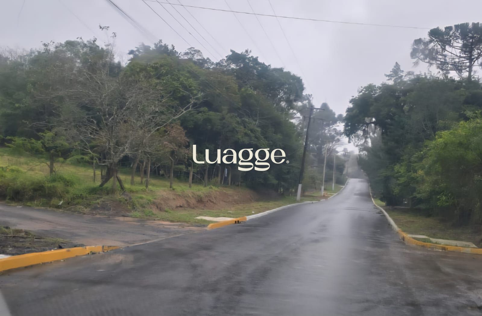 Sítio, 5001 m² - Foto 4