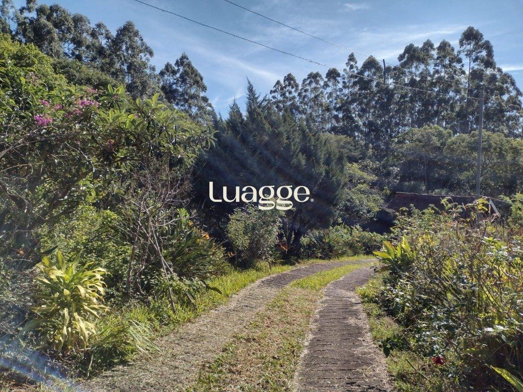 Sítio à venda com 1 quarto, 212m² - Foto 12