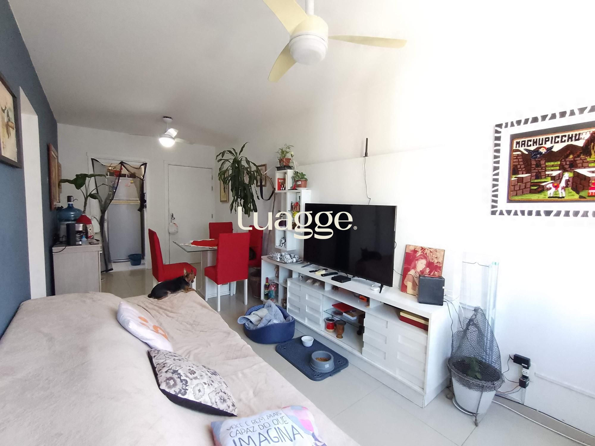 Apartamento, 2 quartos, à venda, 51 m², Vila São José - Porto Alegre — foto 5