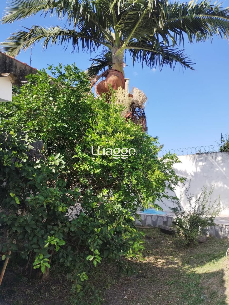 Casa à venda com 3 quartos, 242m² - Foto 10
