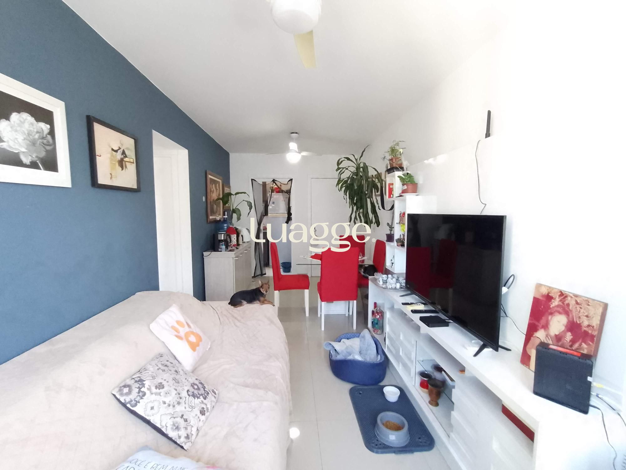Apartamento, 2 quartos, à venda, 51 m², Vila São José - Porto Alegre — foto 4