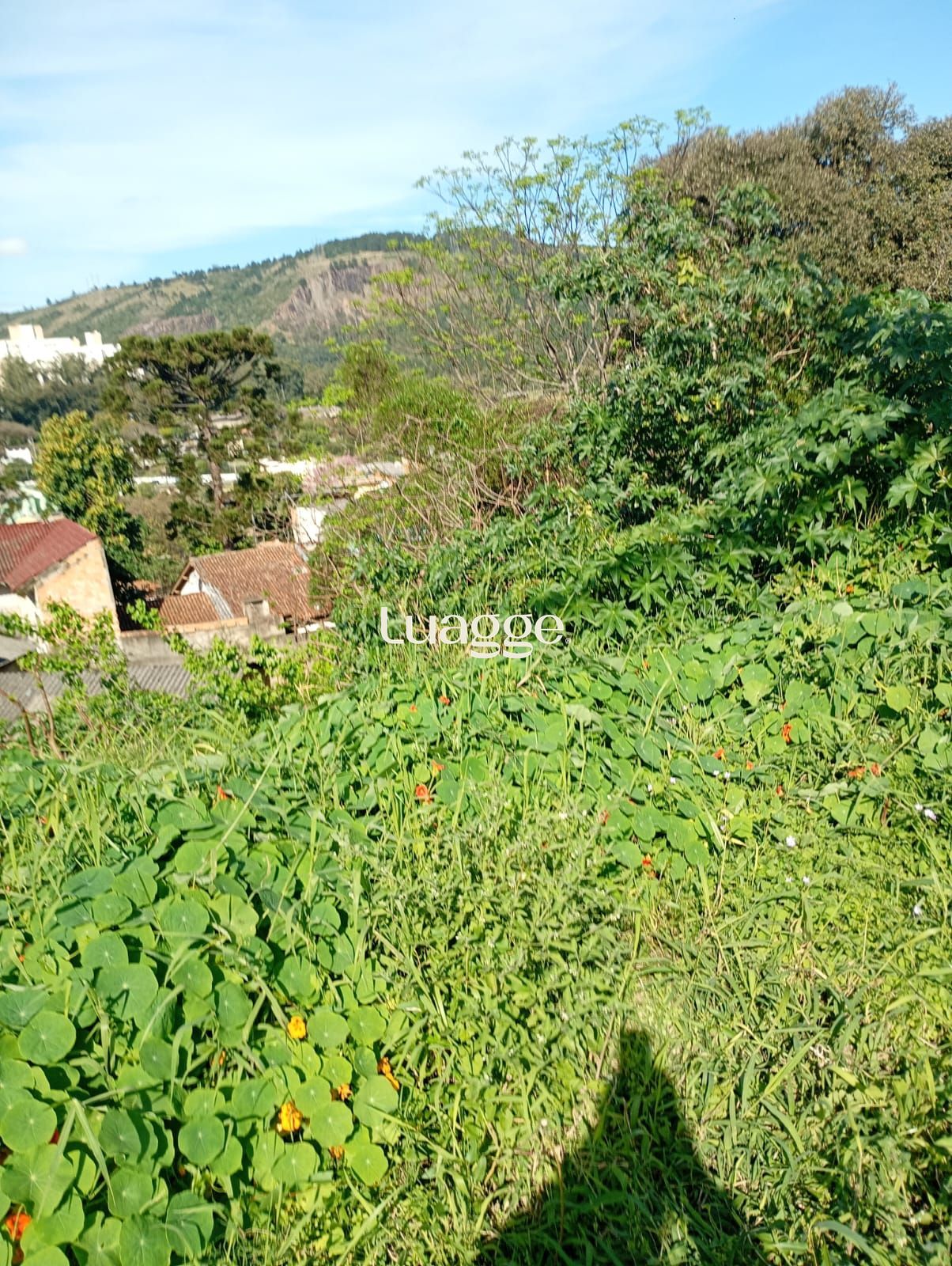 Terreno, à venda, Jardim Carvalho - Porto Alegre — foto 3