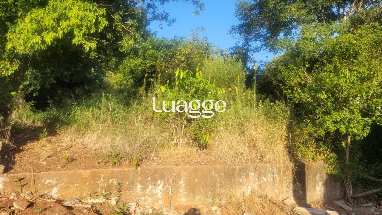 Terreno 13x30 no Leteamento Vista Alegre em Cachoeirinha
