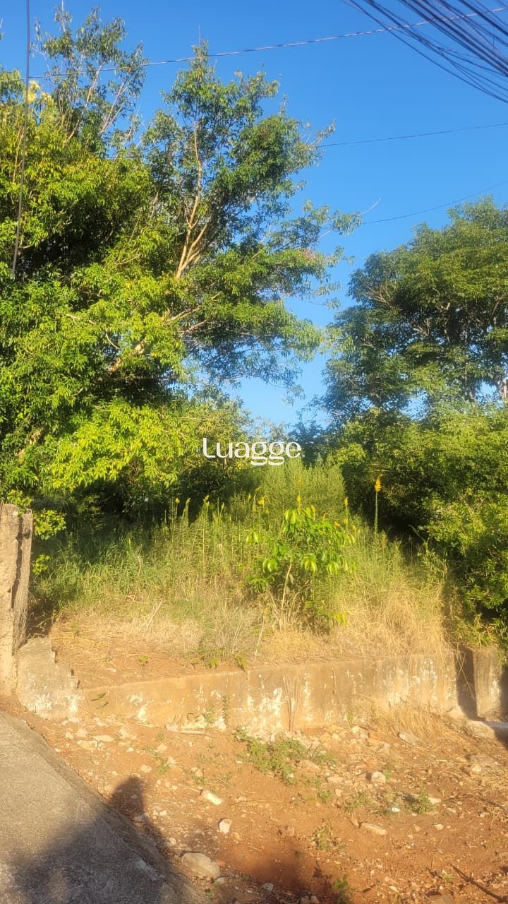 Terreno, à venda, Vila Vista Alegre - Cachoeirinha — foto 2