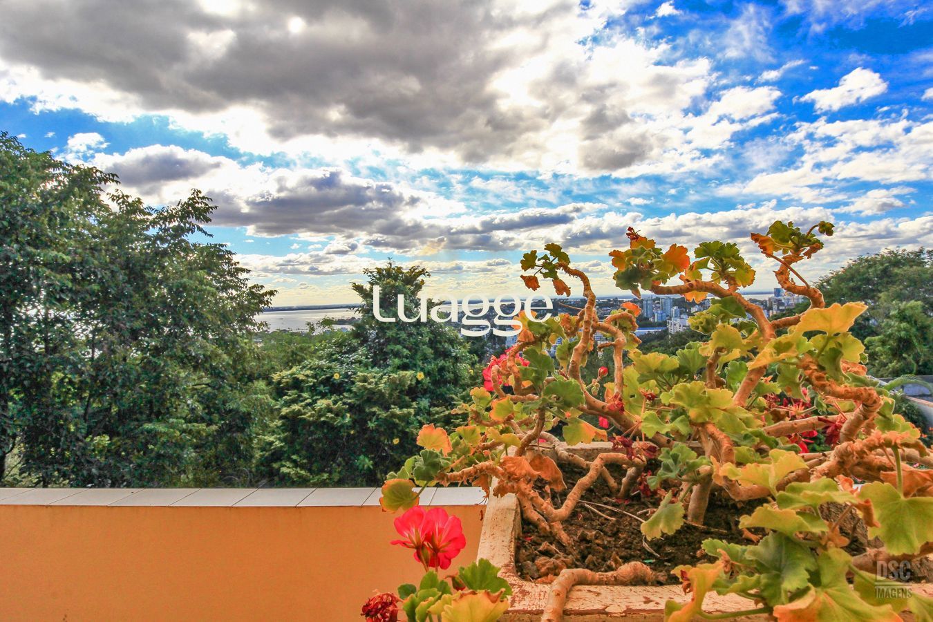 Casa à venda com 5 quartos, 307m² - Foto 31