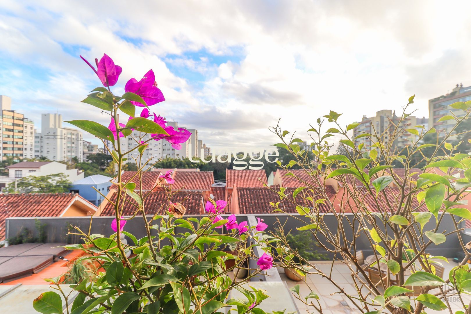 Apartamento à venda com 3 quartos, 85m² - Foto 5