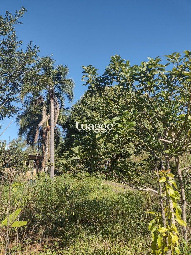 Sítio à venda com 1 quarto, 212m² - Foto 10