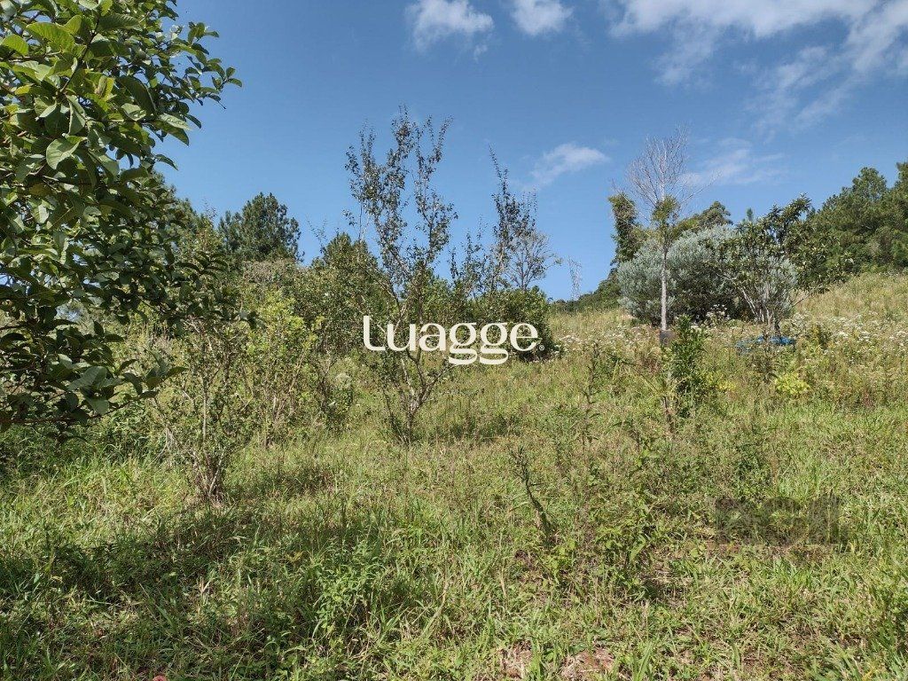 Sítio à venda com 1 quarto, 212m² - Foto 8