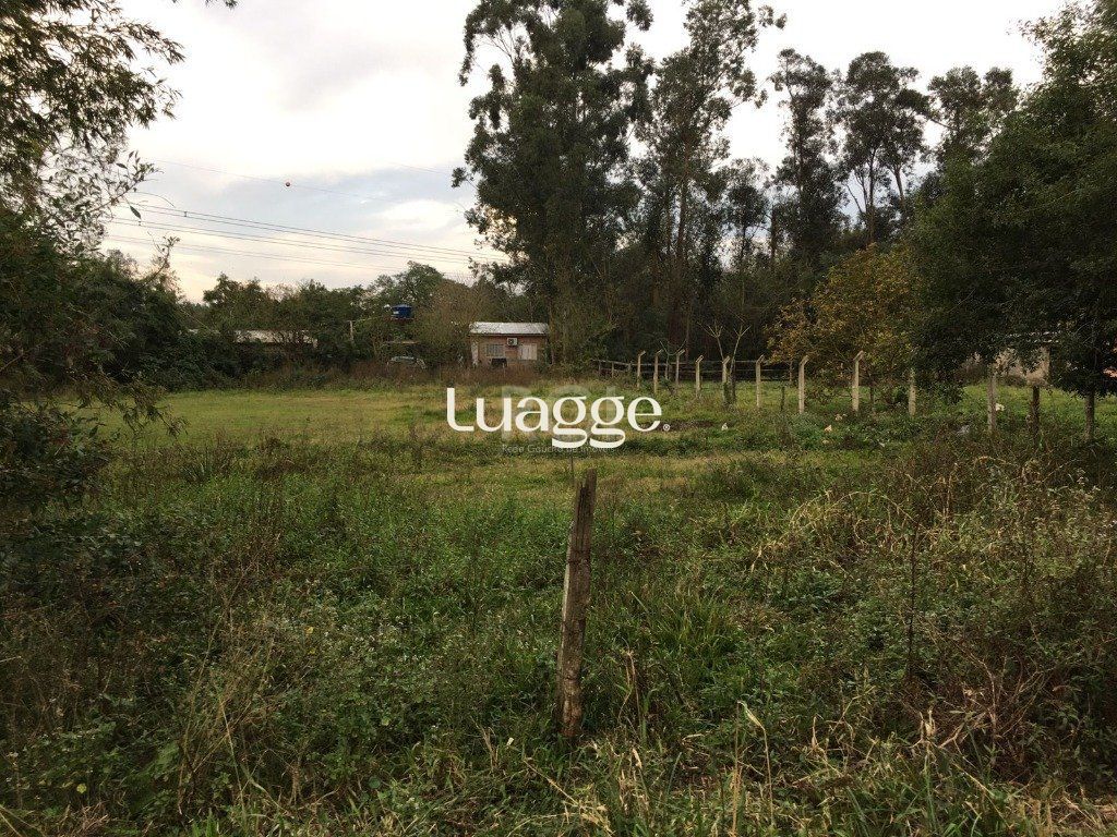 Terreno à venda, 2021m² - Foto 5
