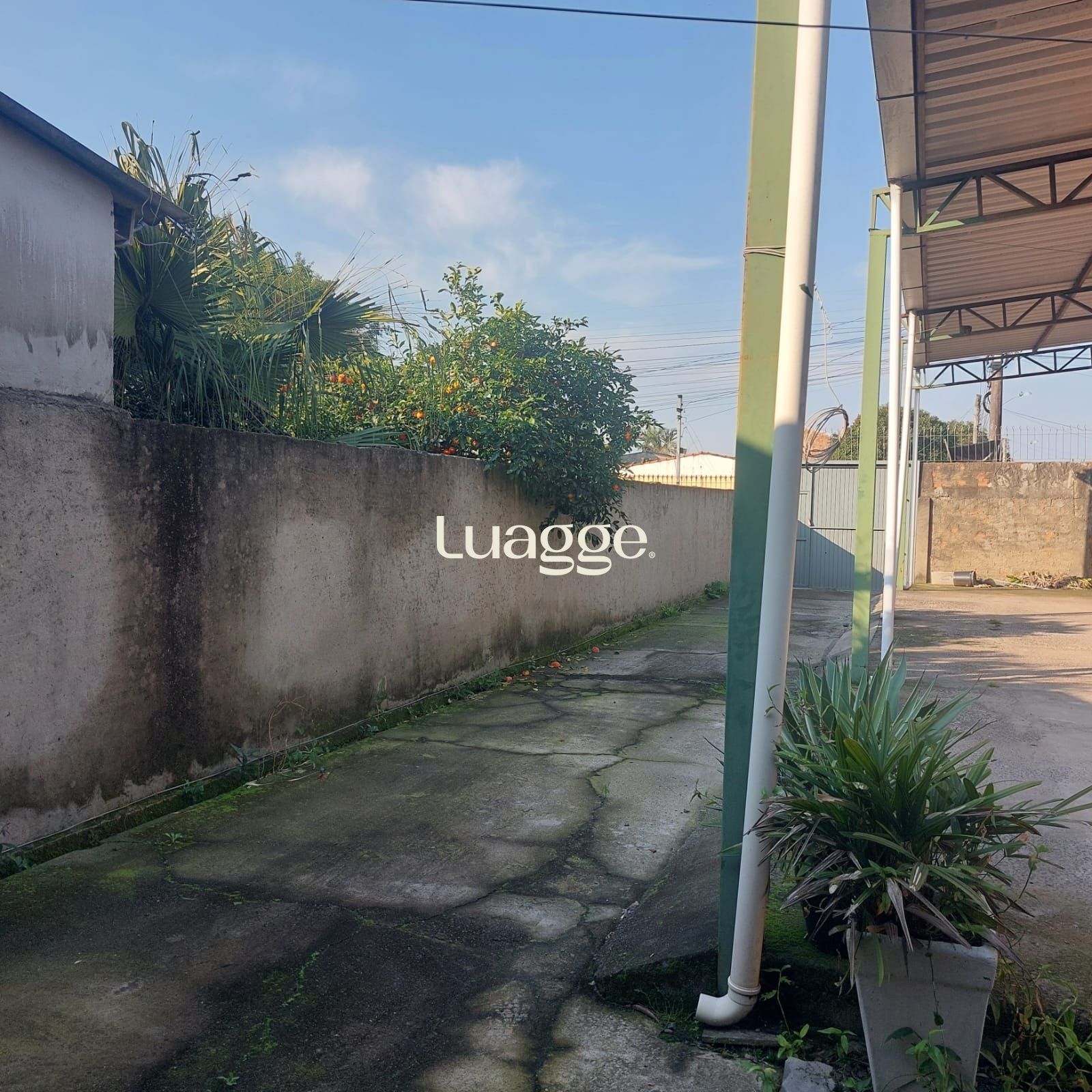Terreno à venda, 225m² - Foto 4