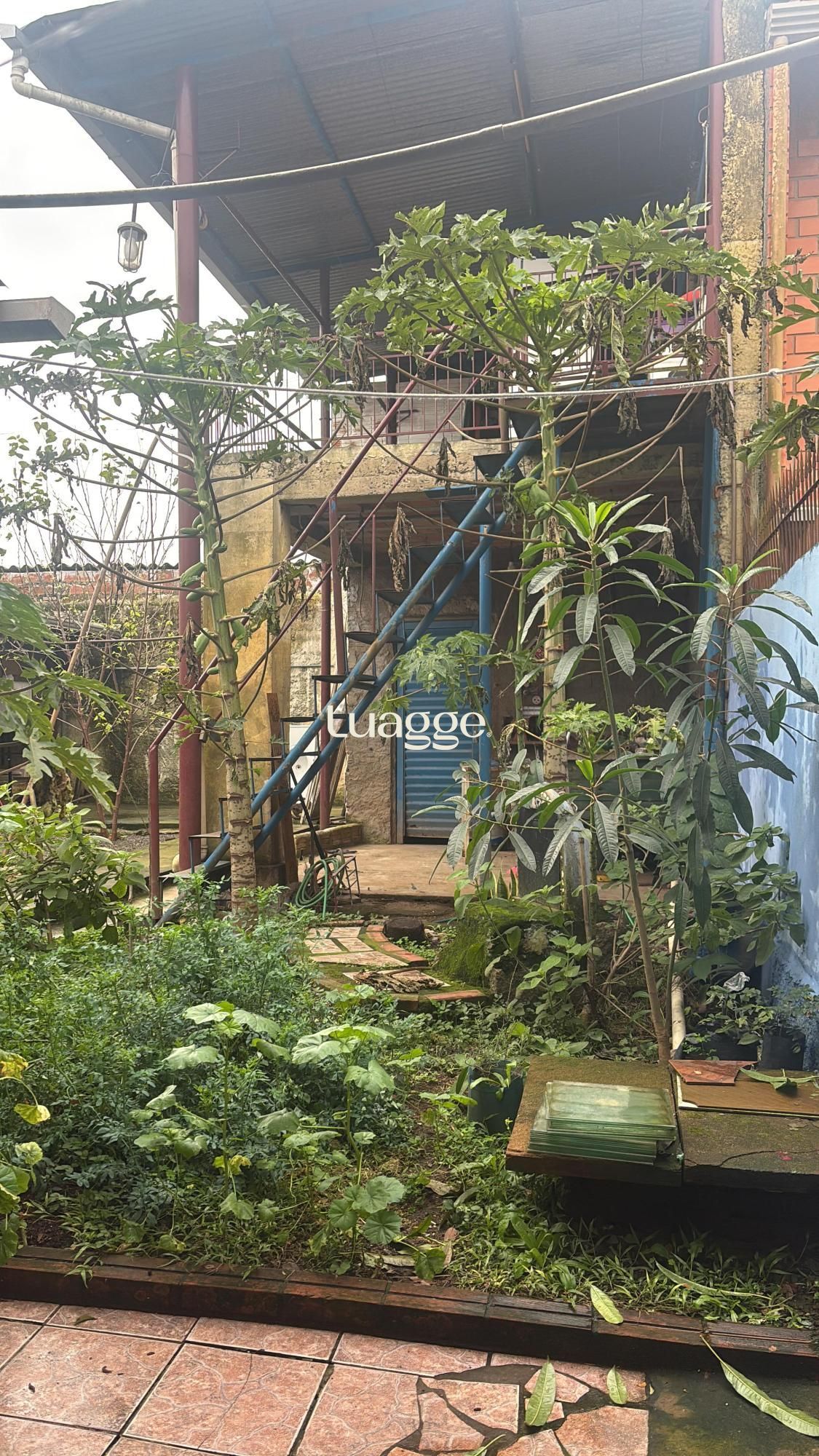 Casa à venda com 2 quartos, 250m² - Foto 19