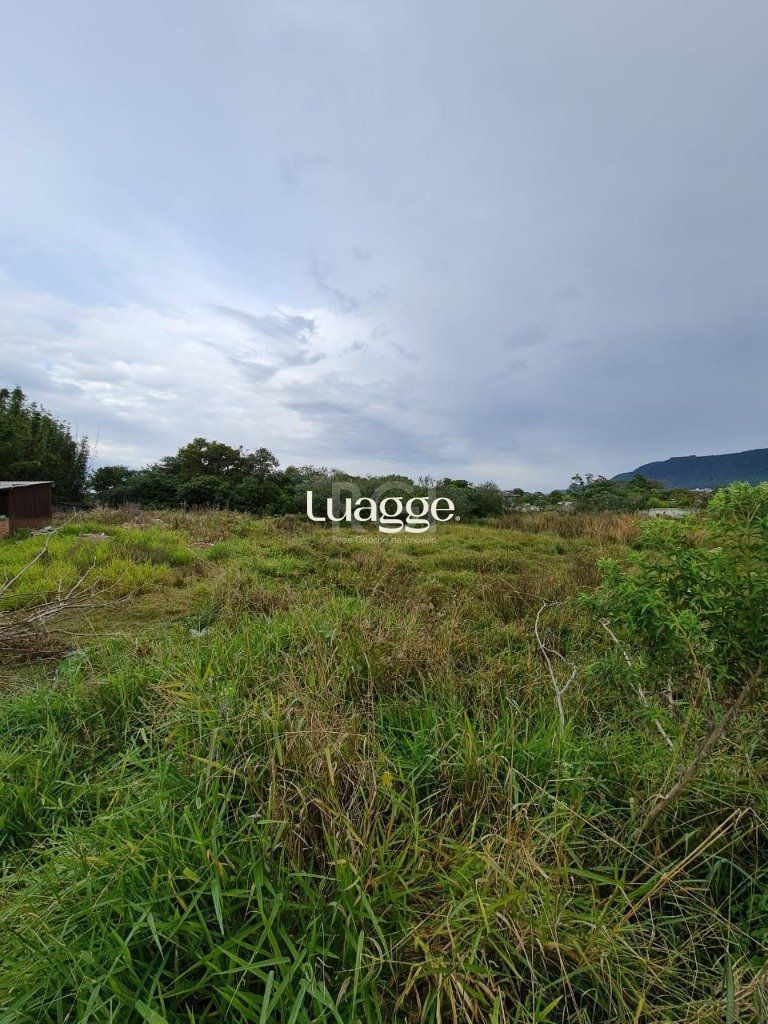 Terreno à venda, 11800m² - Foto 3