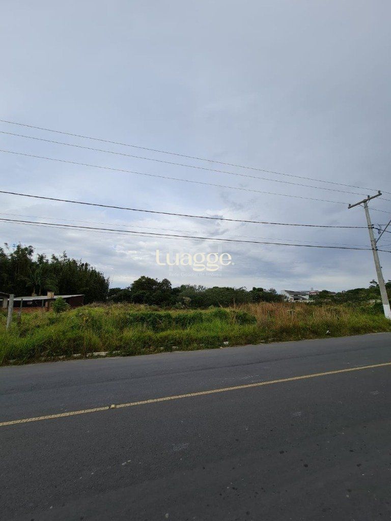 Terreno à venda, 11800m² - Foto 5