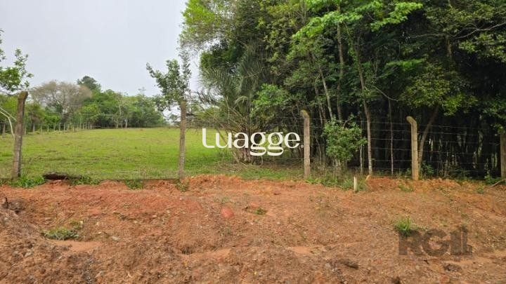 Sítio à venda, 5002m² - Foto 2