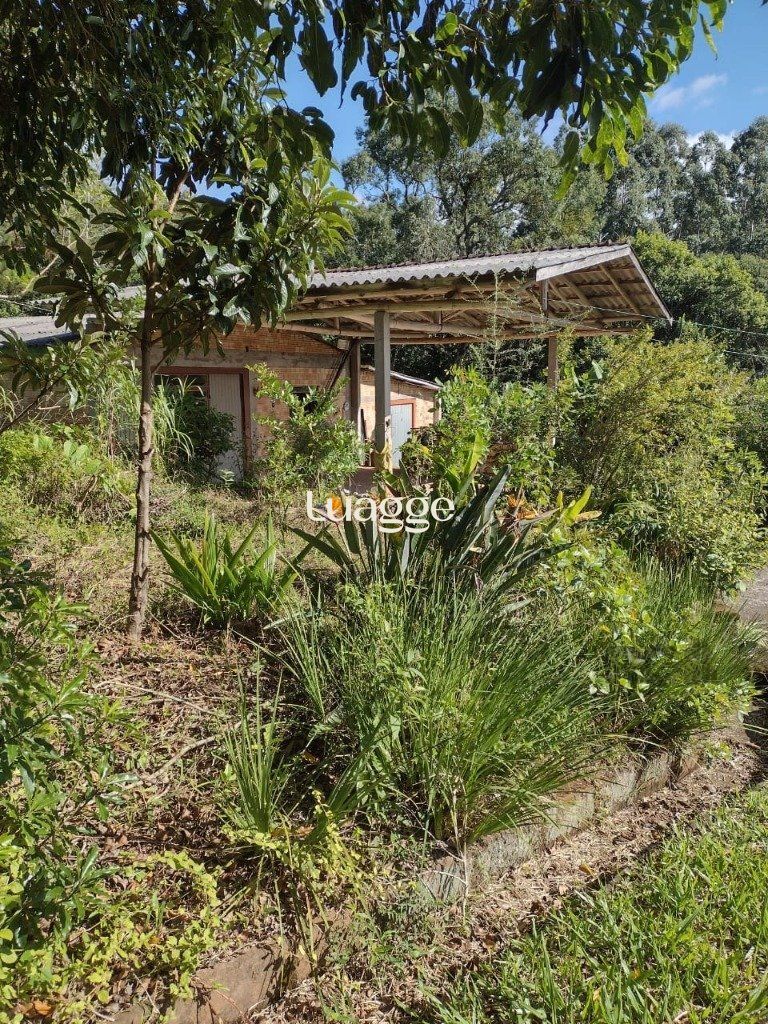 Sítio à venda com 1 quarto, 212m² - Foto 9