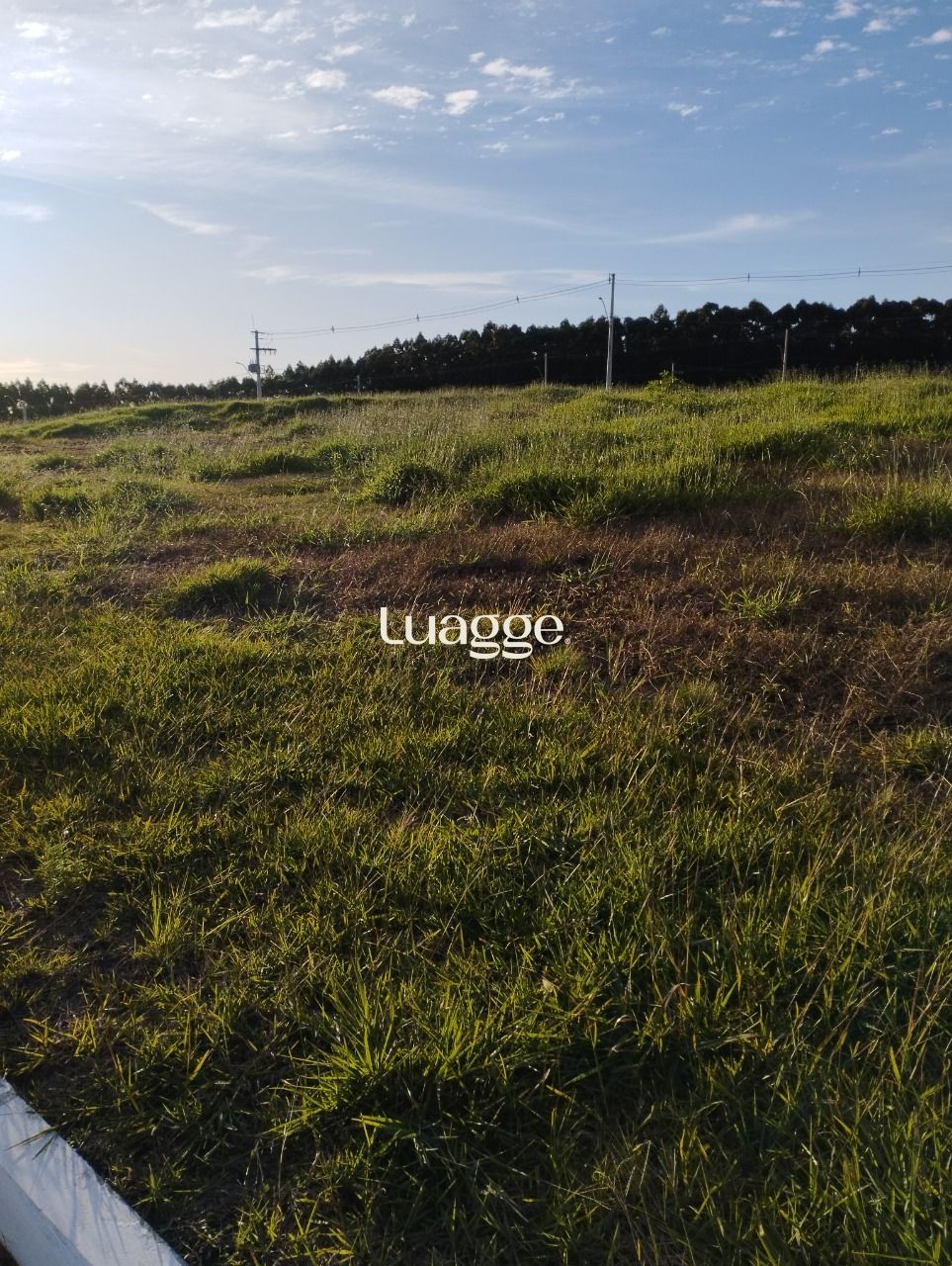 Terreno, 221 m² - Foto 5