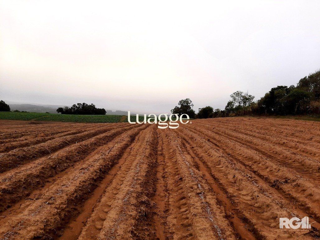 Terreno à venda, 119999m² - Foto 13