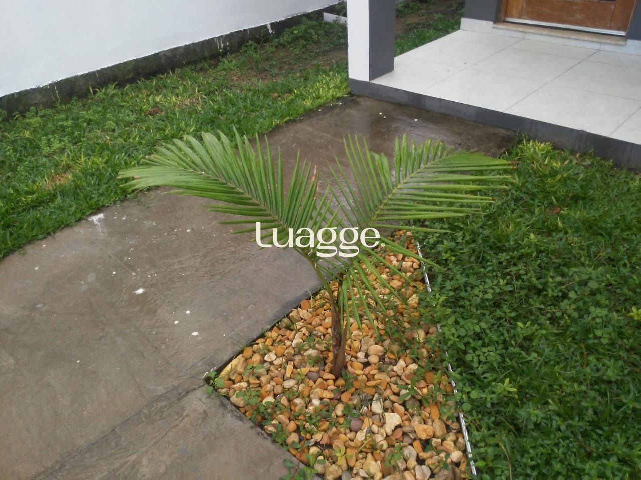 Sobrado, 2 quartos, 156 m² - Foto 3