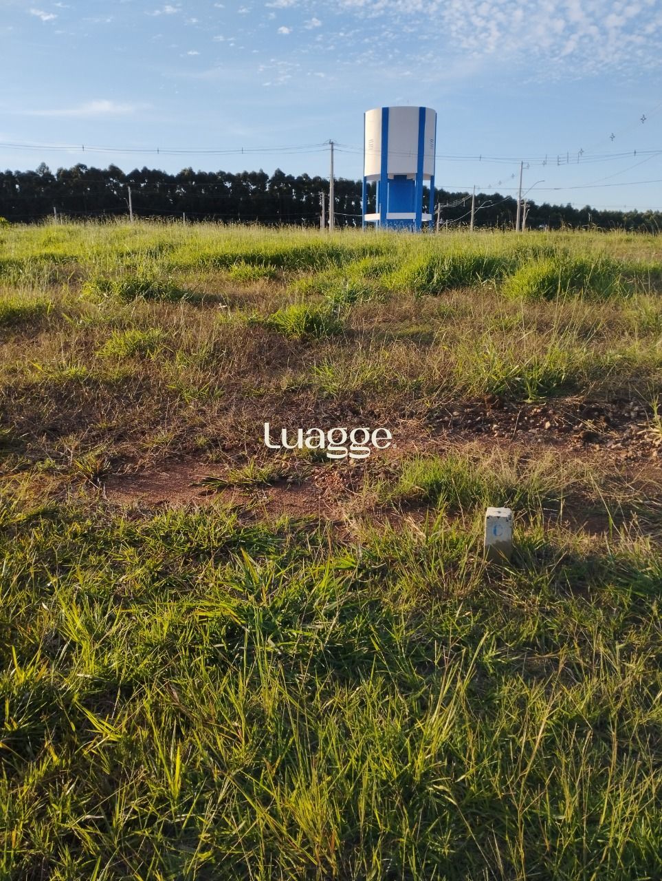 Terreno, 221 m² - Foto 6