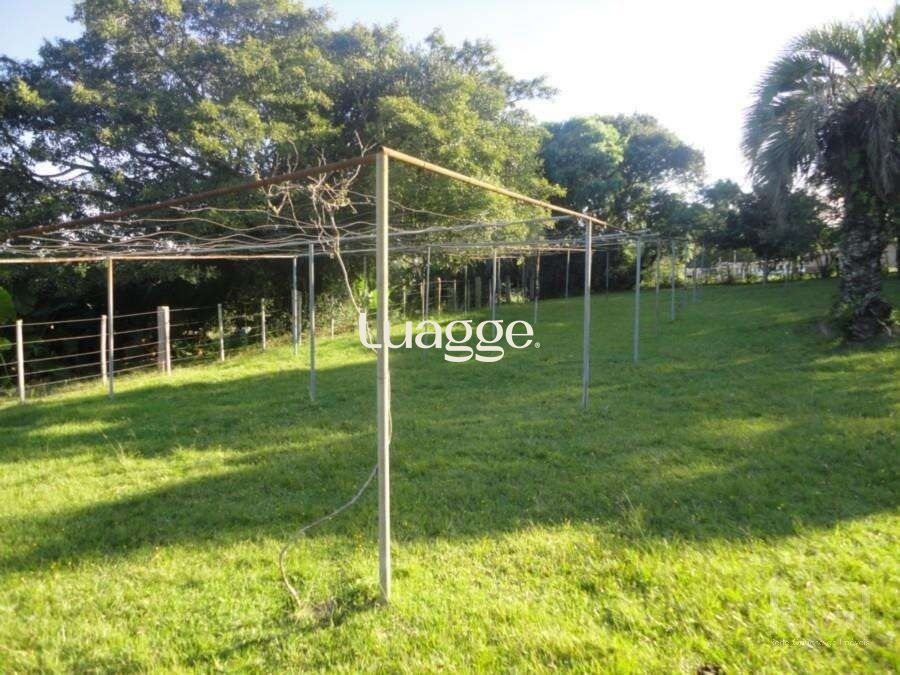 Sítio à venda com 3 quartos, 679m² - Foto 15