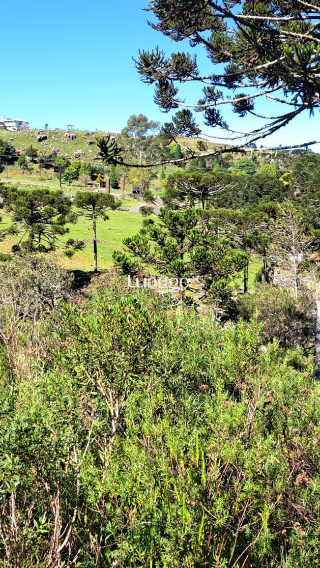 Sítio à venda com 3 quartos, 33999m² - Foto 8