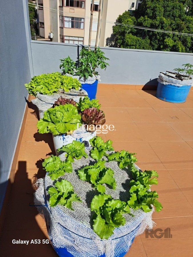 Casa à venda com 3 quartos, 381m² - Foto 7