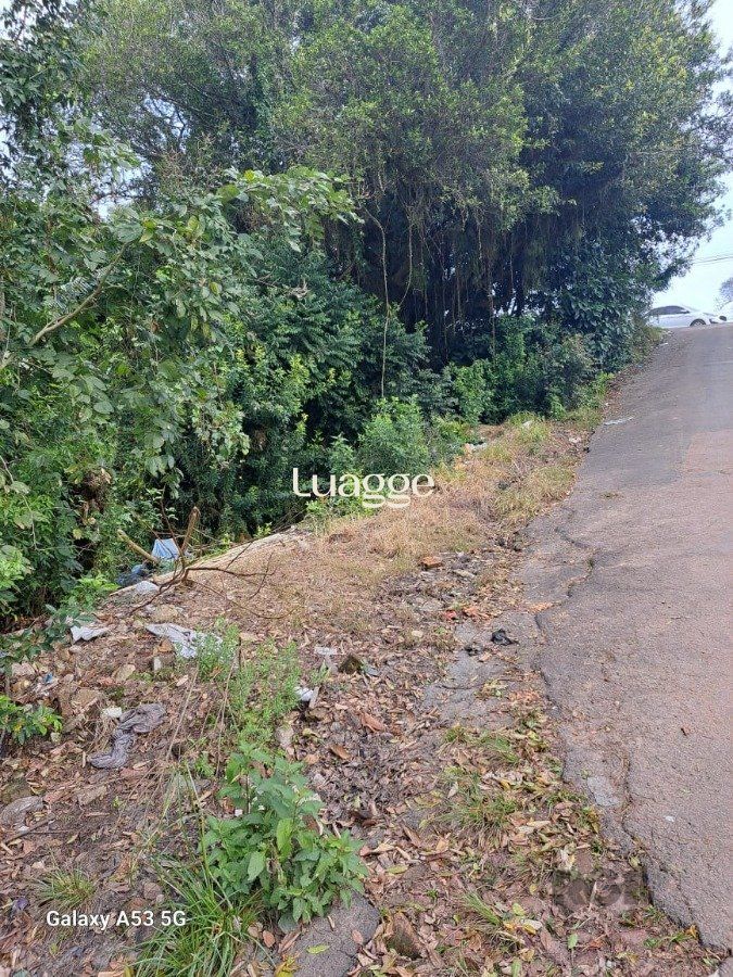 Terreno à venda, 6802m² - Foto 6