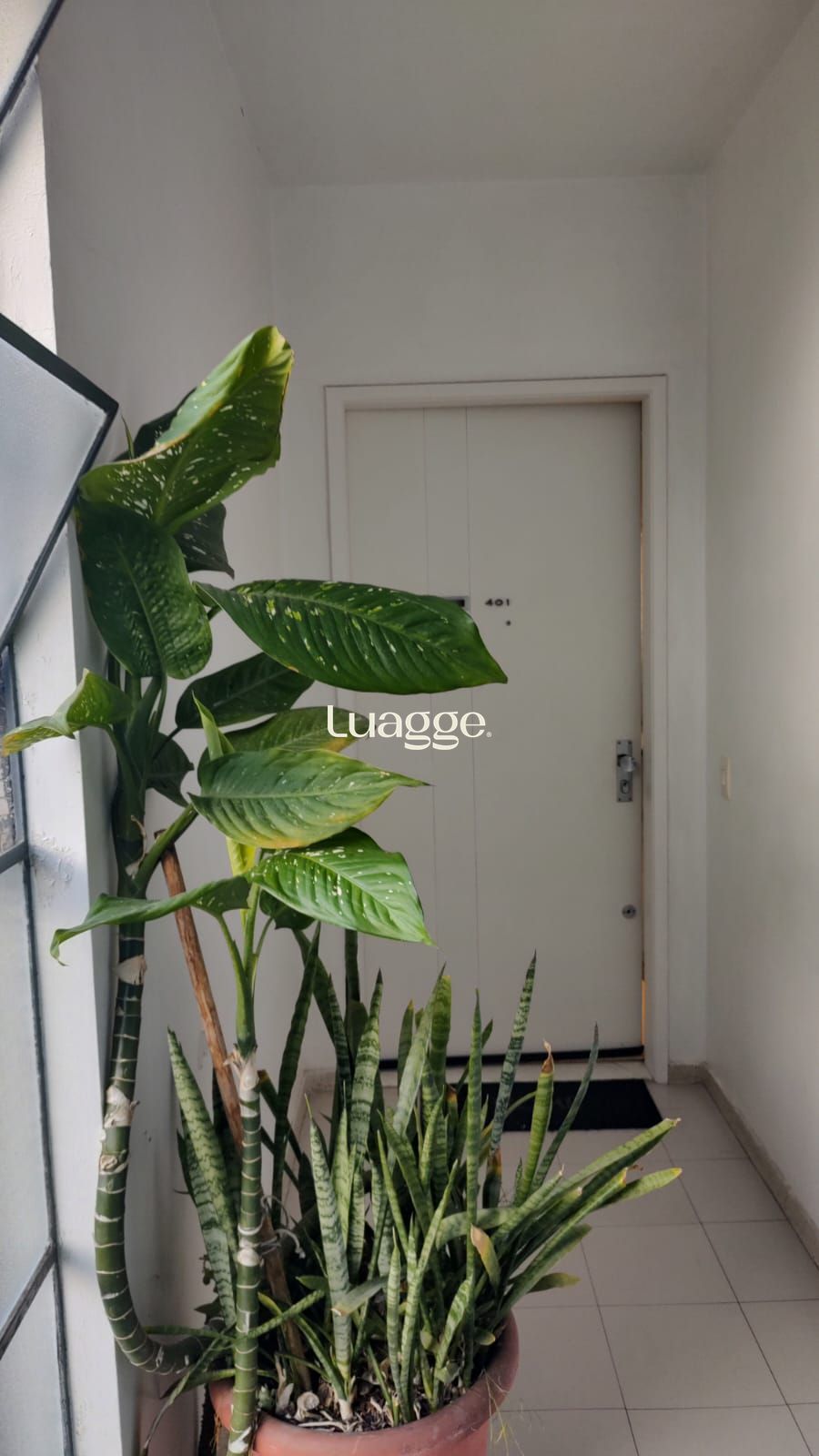 Apartamento, 2 quartos, à venda, 82 m², Bela Vista - Porto Alegre — foto 3