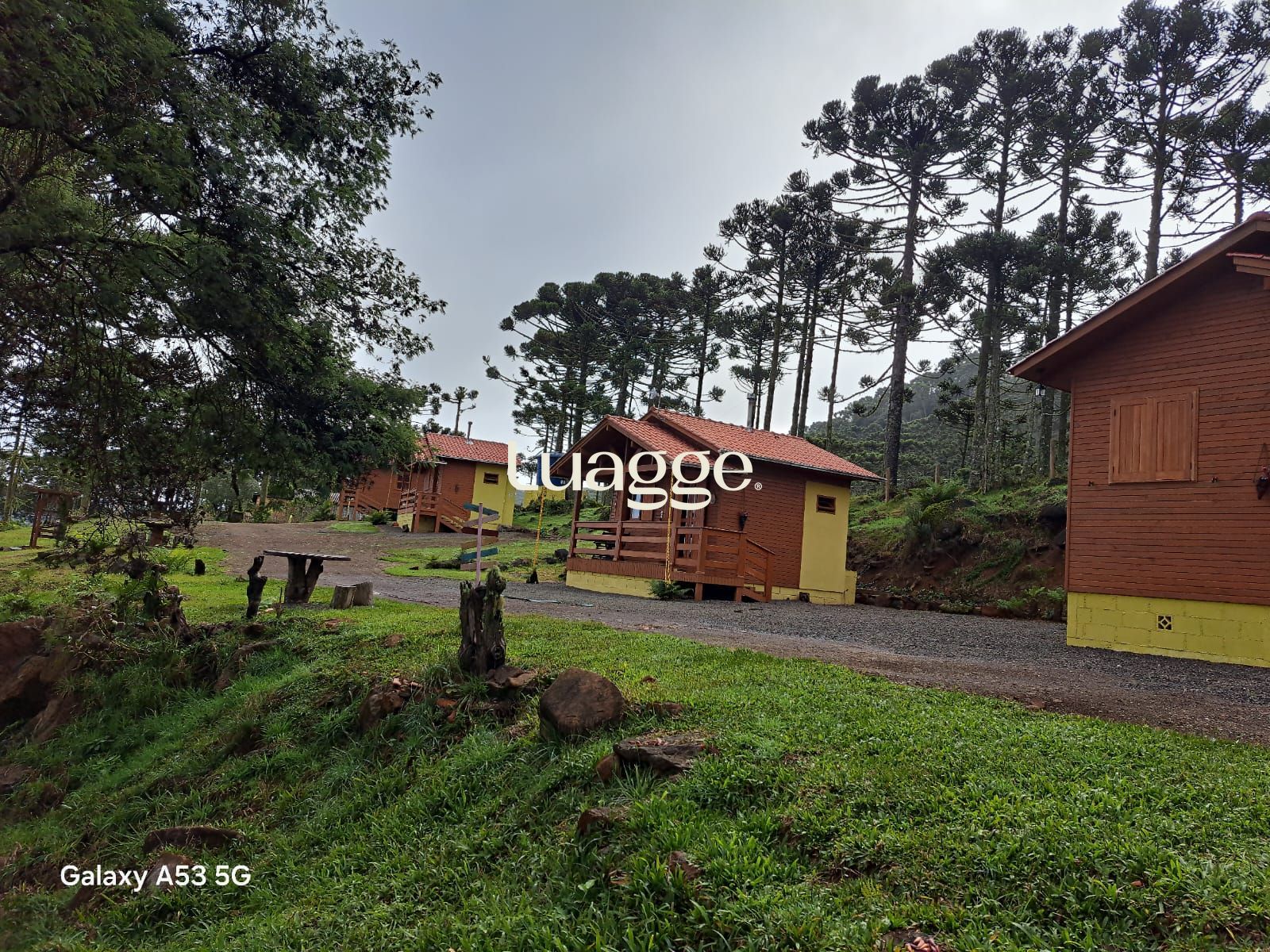 Sítio à venda com 3 quartos, 33999m² - Foto 10