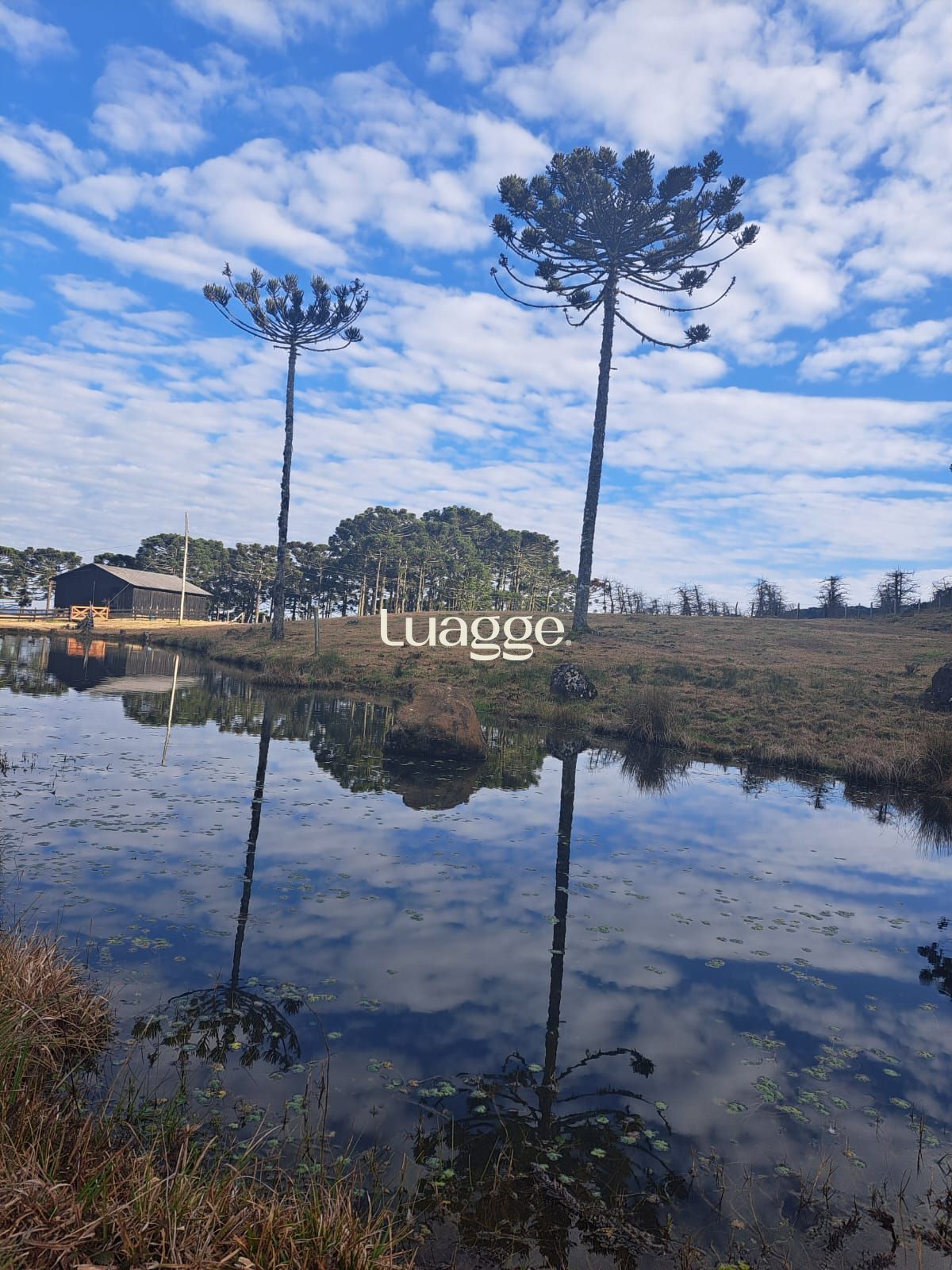 Sítio à venda com 3 quartos, 33999m² - Foto 12