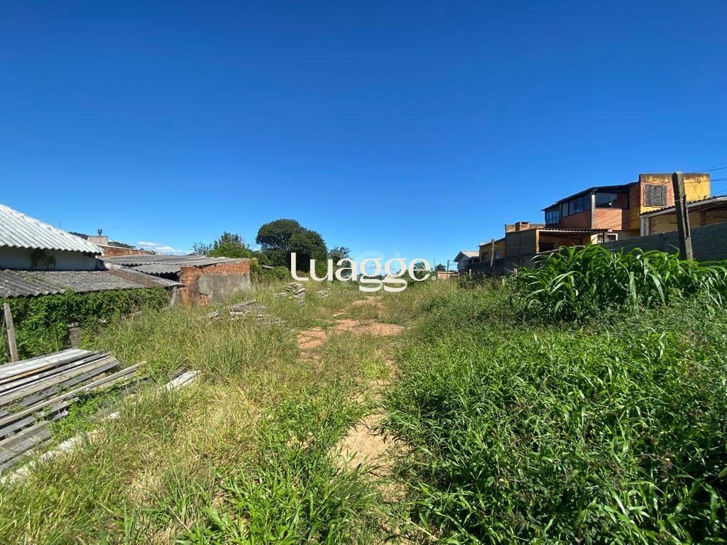 Terreno à venda, 1206m² - Foto 6