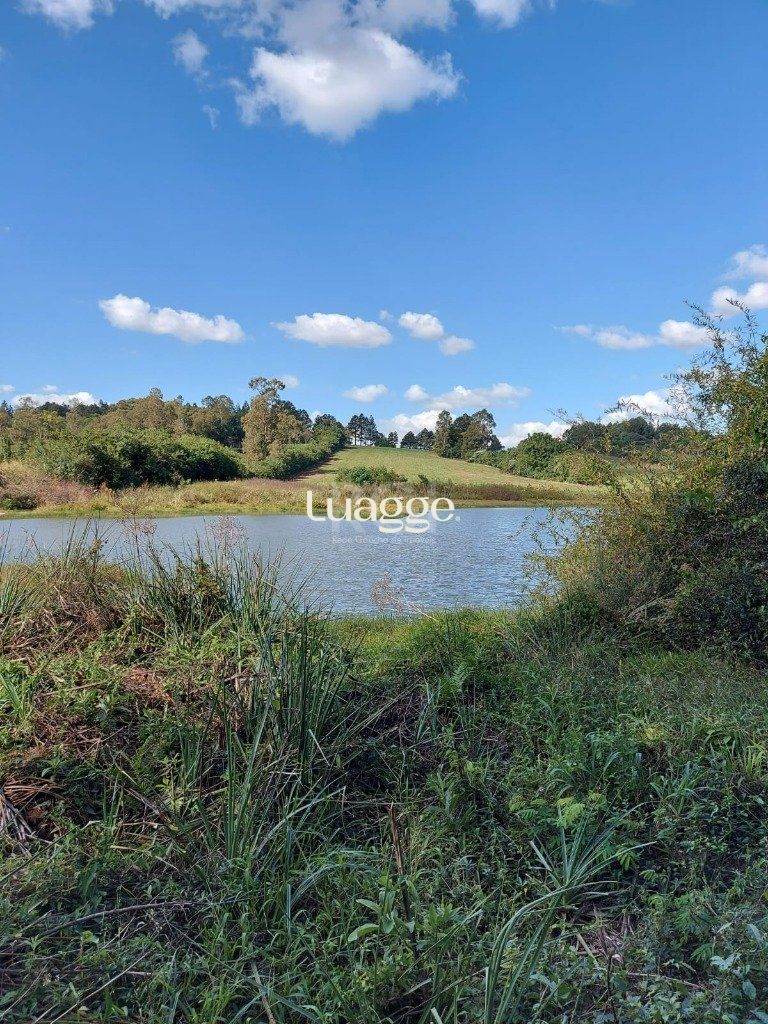Terreno à venda, 69999m² - Foto 6