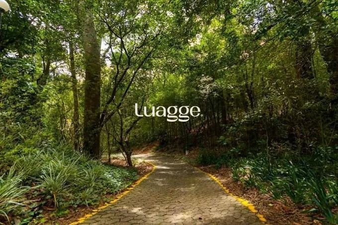 Apartamento, 2 quartos, 63 m² - Foto 21