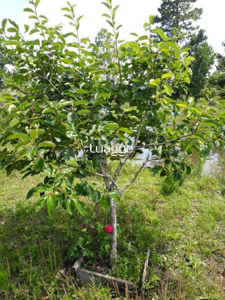 Terreno, 991 m² - Foto 21