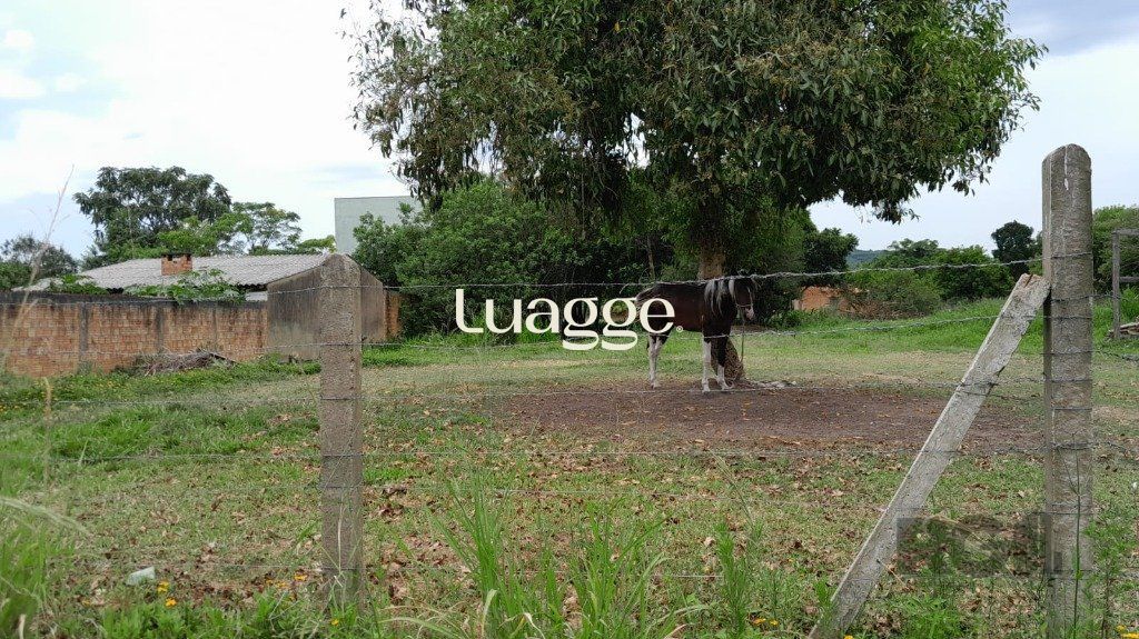 Terreno, 1001 m² - Foto 5