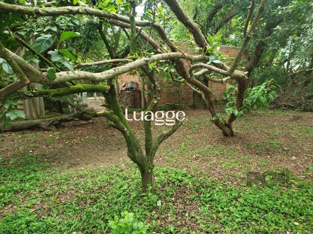 Terreno à venda, 586m² - Foto 3
