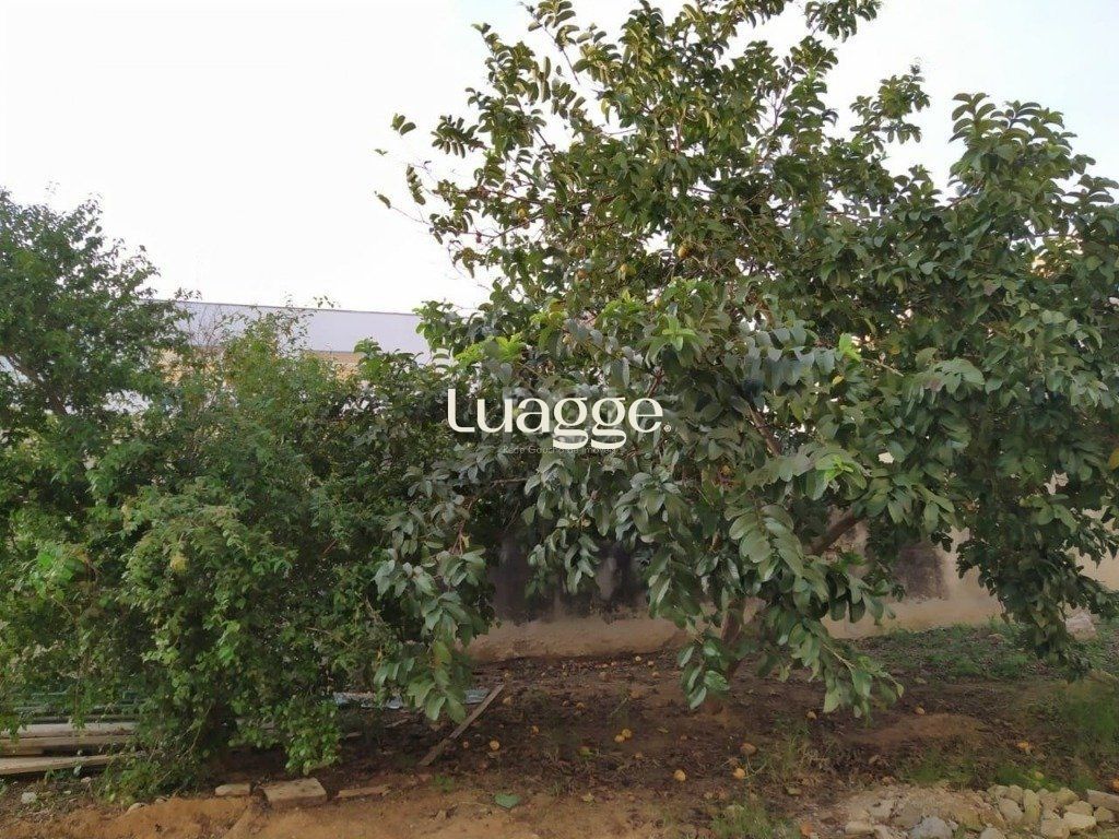 Apartamento à venda com 2 quartos, 58m² - Foto 26
