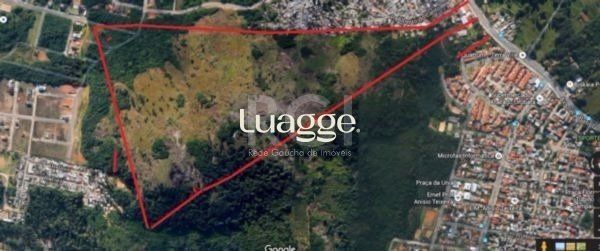 Terreno à venda, 65001m² - Foto 3