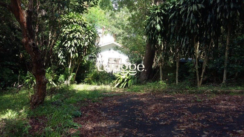 Terreno à venda, 10659m² - Foto 11