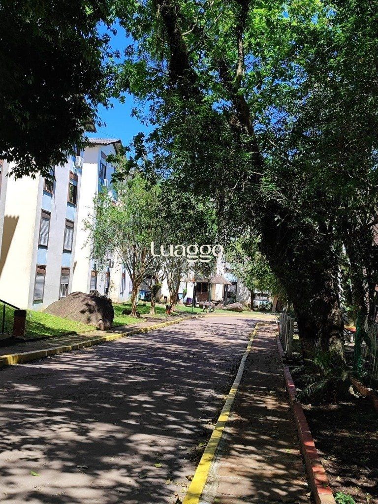 Apartamento à venda com 3 quartos, 66m² - Foto 23