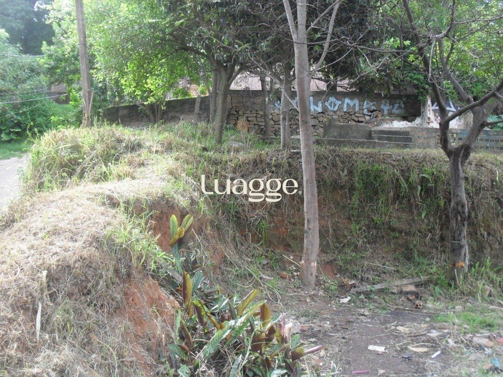Terreno à venda, 298m² - Foto 9