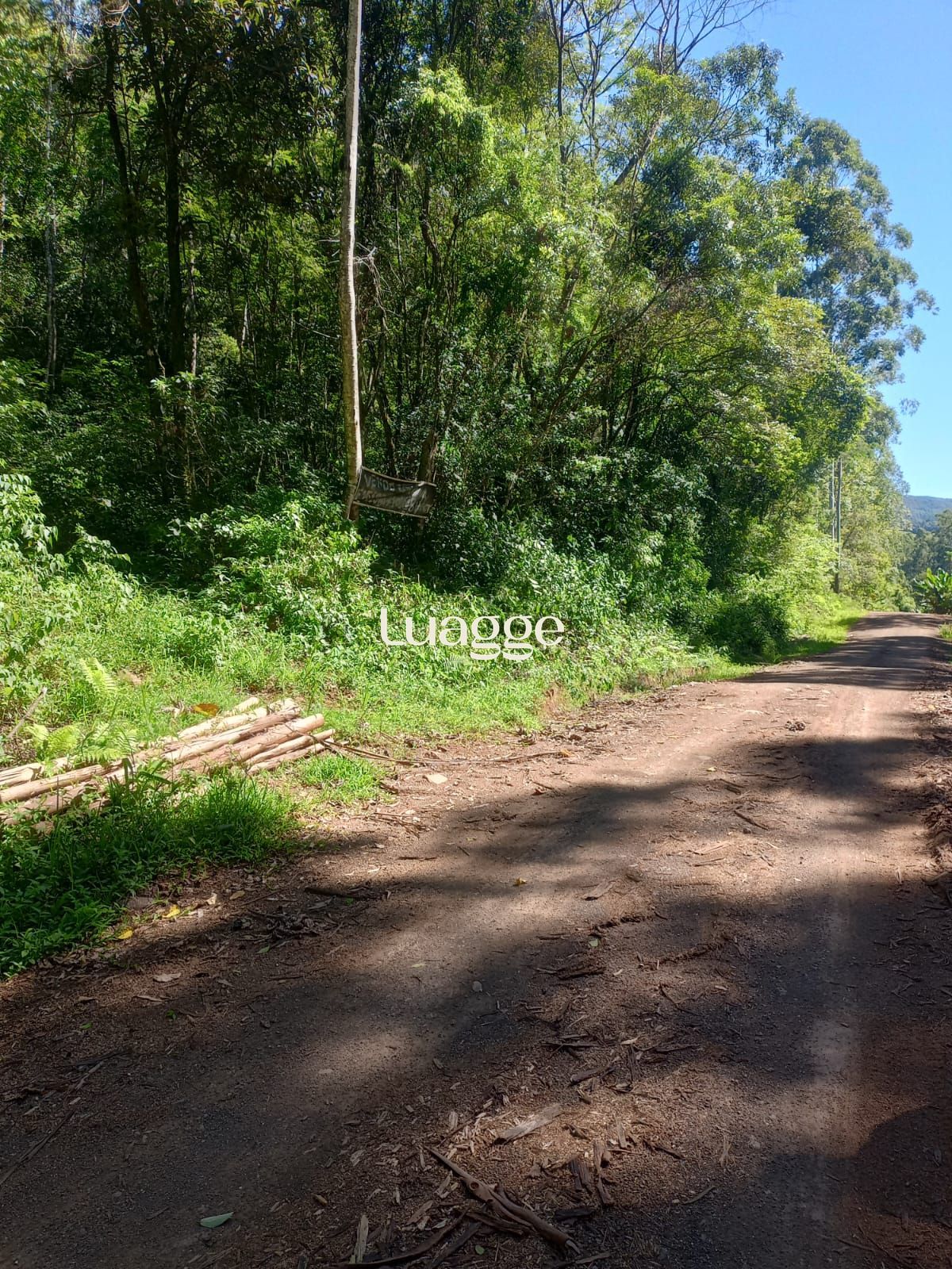 Terreno, à venda, Padilha - Taquara — foto 2