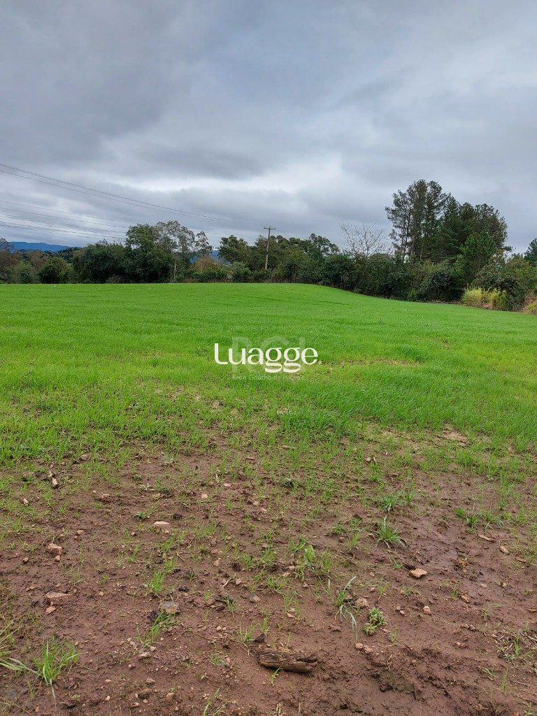 Terreno à venda, 69999m² - Foto 2