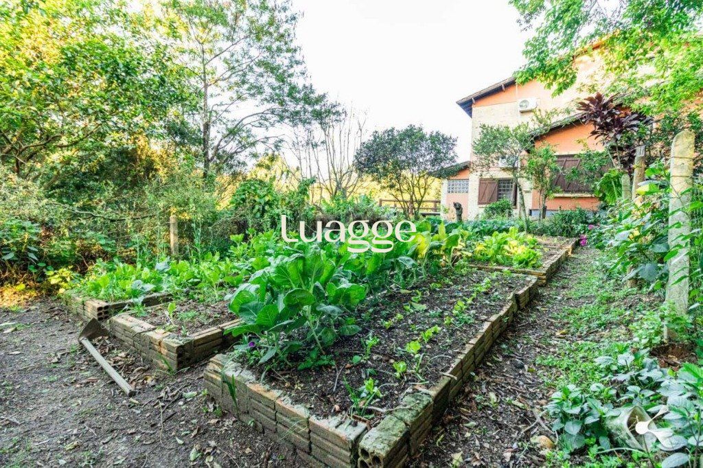 Sítio à venda, 25002m² - Foto 26