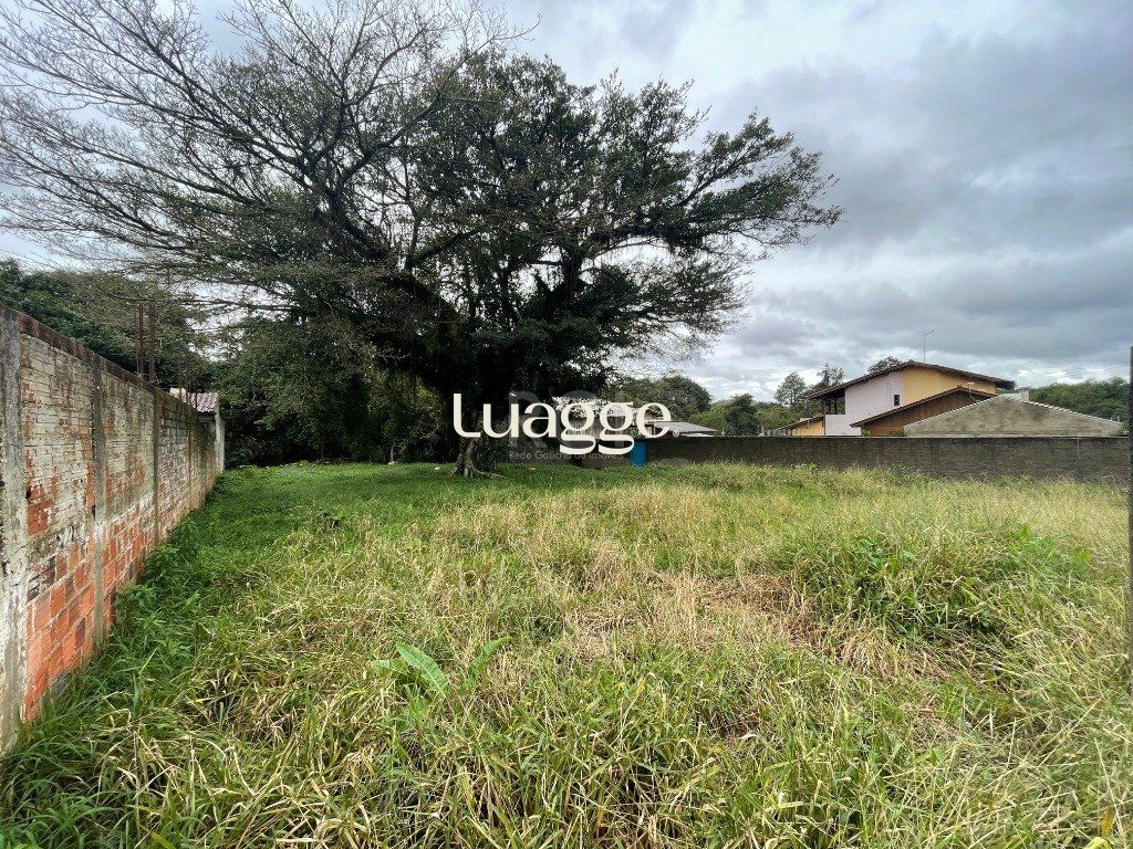 Terreno, 1031 m² - Foto 4