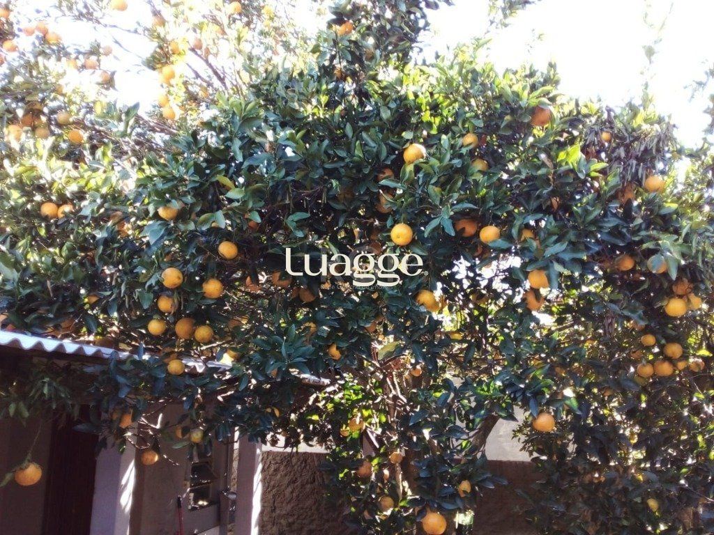 Casa, 3 quartos, 151 m² - Foto 12