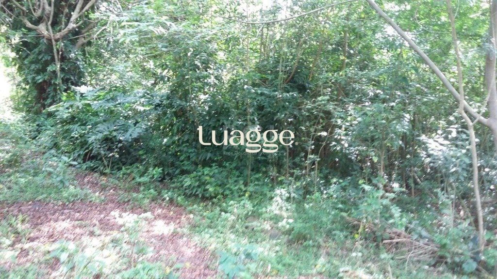 Terreno à venda, 10659m² - Foto 7