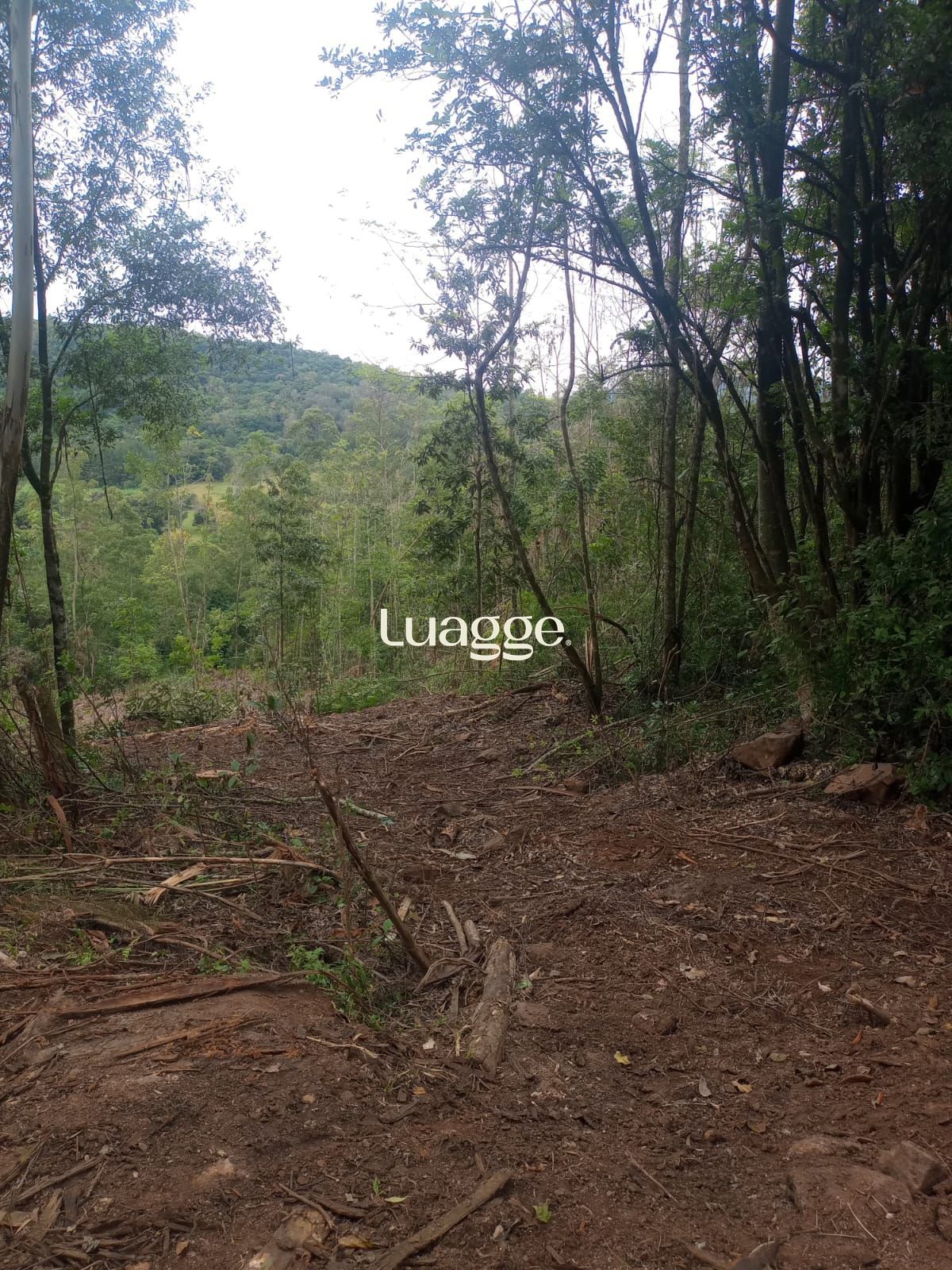 Terreno, à venda, Padilha - Taquara — foto 4